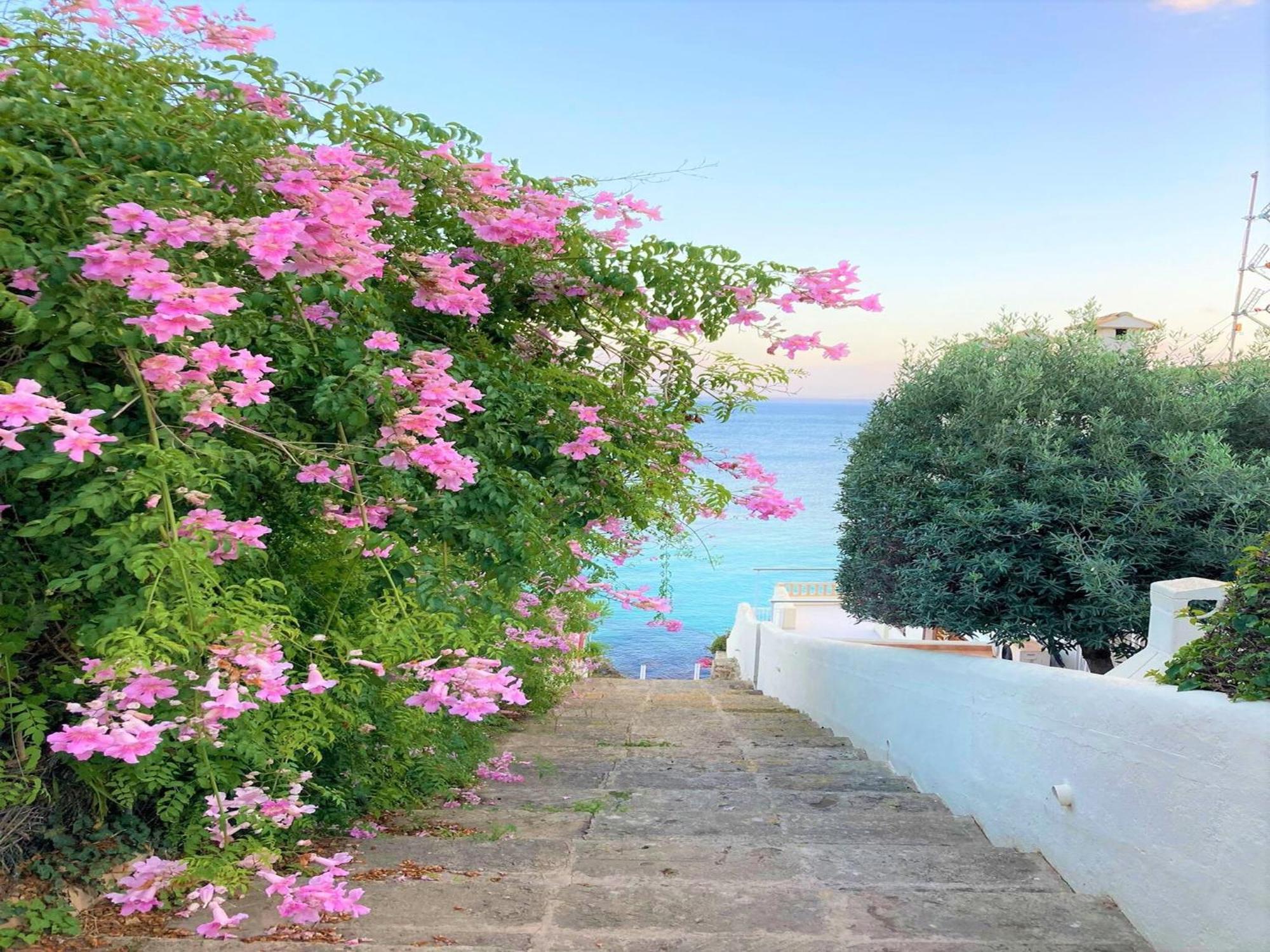 Stunning With Private Terrace Ferienhaus *